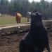 Timothy Luper - Facebook