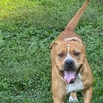 Timothy Marcum Jr. - @jr.timothymarcum - Instagram