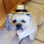 Timothy Marek - @wilberlukebud - Instagram