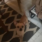 Timothy Marron - @timothymarron - Instagram