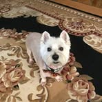 Tim Mauldin - Facebook