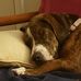 Timothy McAleer - Facebook