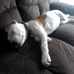 Timothy McDougall - Facebook