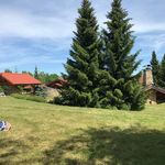 Timothy McGee - @timothymcgee38 - Instagram