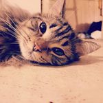 Timothy McGee - @timothy_thegee - Instagram