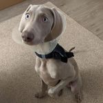 Timothy Madhatter McLellan - @mclellantimothy - Instagram