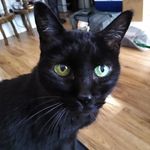 Timothy Mcpherson - @tsmac2 - Instagram