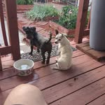 Timothy Messmer - @timothymessmer - Instagram