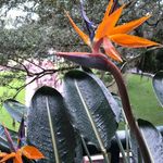Timothy Craig Mobley - @timothy.mobley1 - Instagram