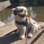 Timothy - @timothymoehlecke - Instagram