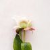 Timothy  Molina - Facebook