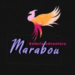 marabou stock safaris - @timothy_mollel - Instagram