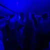 mollytimothy - @mollytimothy - TikTok