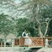 Timothy Mapili Mounts - Facebook