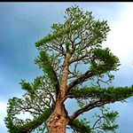 Timothy Müller - @ashfaq.patel.3388 - Instagram