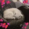 timothymunn4 - @timothymunn4 - TikTok