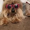 Tim naquin - @user4153333288706 - TikTok
