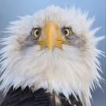Timothy Nathaniel - @timothynathaniel27 - Instagram