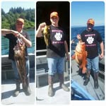 Timothy Neace - @timsilverfox - Instagram