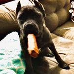 Timothy Nester - @timbonest - Instagram