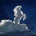 Timothy New - Facebook