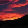timothynewbold429 - @timothynewbold429 - TikTok
