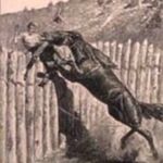 Timothy Newton - @timothynewton445 - Instagram