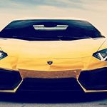 Timothy Newton - @timothynewton3516 - Instagram