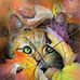 Timothy Nice - Facebook