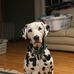 Timothy Nickels - Facebook