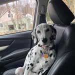 Timothy Nickels - @timnick73 - Instagram