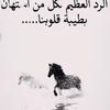 شوشه كوين - @timothynye - TikTok