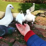 timothy oates - @timo543110 - Instagram