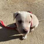 Timothy Ochoa - @timothony_321 - Instagram
