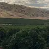 timothyoconnell - @timothyoconnell - TikTok