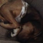 Logan Timothy Oliphant - @logantimothyoliphant - Instagram