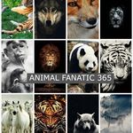 Timothy Olvera - @animalfanatic365 - Instagram