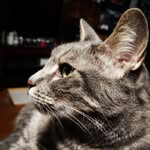 Timothy Otis - @timothyotis - Instagram