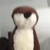Timothy.the_otter - @timothy.the_otter - TikTok
