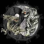Timothy Painter - @drgntgr22 - Instagram
