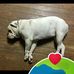 Timothy Parent - Facebook