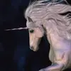 timothypeake291 - @timothypeake291 - TikTok