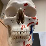 Timothy J. Pendergrass PT, ScD - @tensegritytimes - Instagram