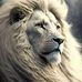 Timothy Pendleton - Facebook