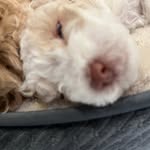 Timothy Peng - @tim.pengg - Instagram