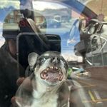 Timothy Pepper - @valjerk3 - Instagram