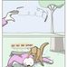 Timothy Pflug - Facebook