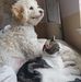 Timothy Phan - Facebook