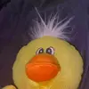 tim tim 😜🐥😂❤️😍💯 - @timothyluckypickles - TikTok