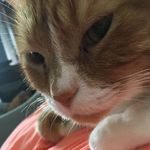 timothy pickles - @timmmeahhh - Instagram